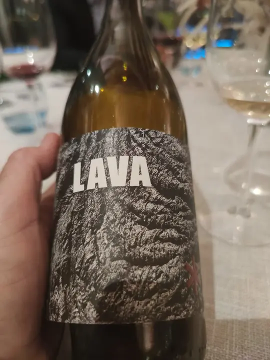 Se ofreci&oacute; un maridaje con vinos canarios variados con un toque muy especial.