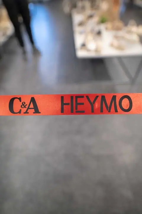 _HEY4782