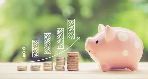 Money coins stack growing graph and piggy bank nature background, business concept.