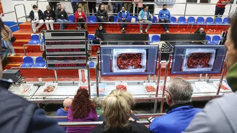 Imagen de la lonja de pescado de Palma en plena actividad.
