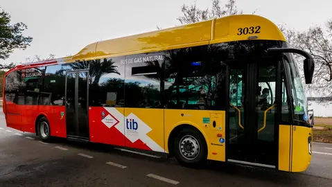 Bus de una de las lineas del TIB de transporte p&uacute;blico en Baleares.