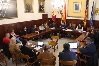 PLE SANTANYÍ APROVACIÓN PRESUPUESTOS 2025