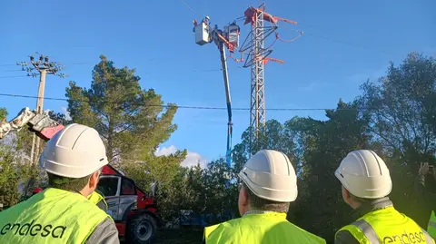 Endesa lleva a cabo un ambicioso plan de adaptaci&oacute;n de l&iacute;neas el&eacute;ctricas para la protecci&oacute;n de las aves en las Islas Baleares