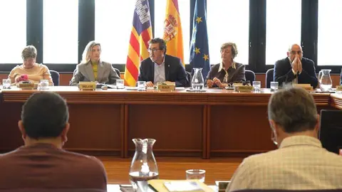 Imagen del pleno de Calvi&aacute; en el que se han aprobado las nuevas cuentas municipales.