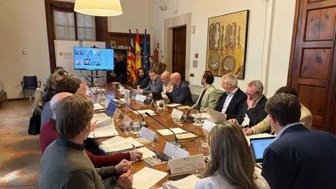 Pleno de la Comisi&oacute;n del ITS