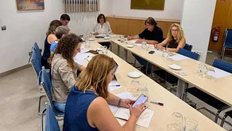 El Govern ha convocado la segunda mesa contra el intrusismo.