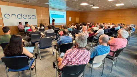 Imagen de una de las sesiones. (Endesa)
