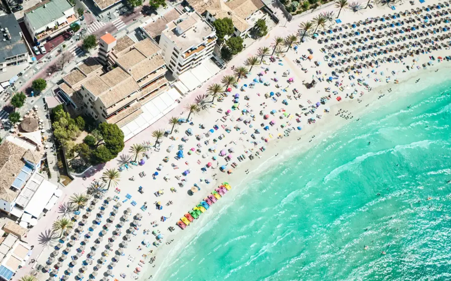 Calvi&agrave;