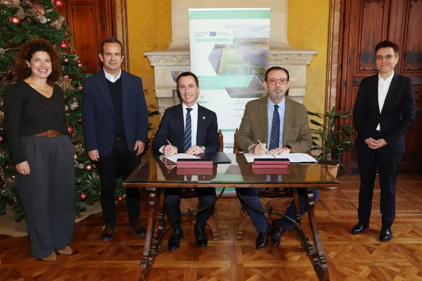 Consell de Mallorca