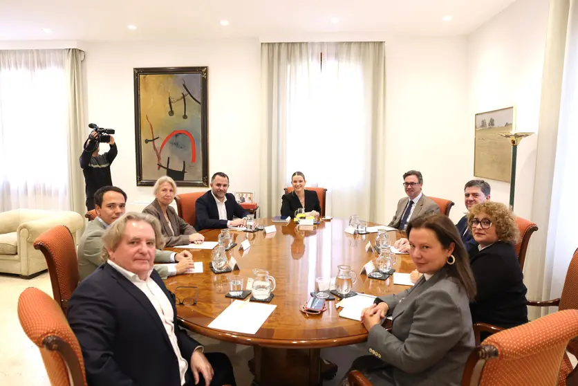 La presidenta Prohens ha recibido en audiencia al presidente de la Federaci&oacute;n Empresarial Hotelera de Mallorca