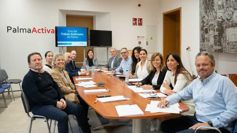 Imagen durante la reuni&oacute;n. (Ayuntamiento de Palma)