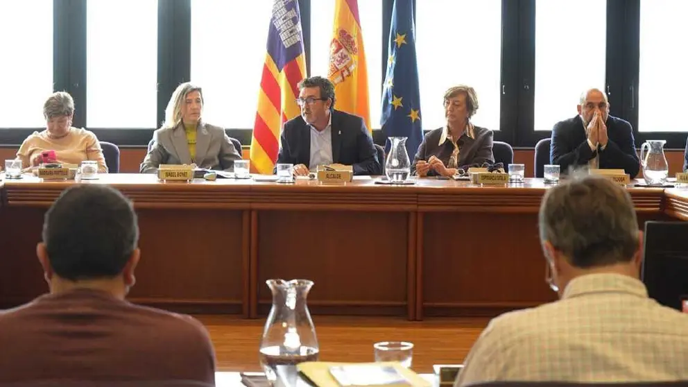 Imagen del pleno de Calvi&aacute; en el que se han aprobado las nuevas cuentas municipales.