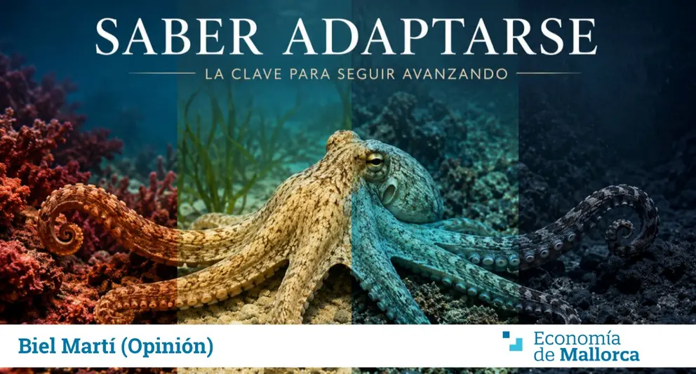A&ntilde;adir un subt&iacute;tulo (17)