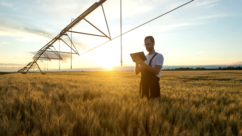 <p> BBVA y Correos firman un protocolo para ampliar los servicios financieros en el mundo rural de Espa&ntilde;a. </p>
