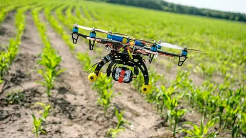  El sector vislumbra otros perfiles, como el de trabajadores asalariados o m&aacute;quinas robotizadas. (Archivo) 