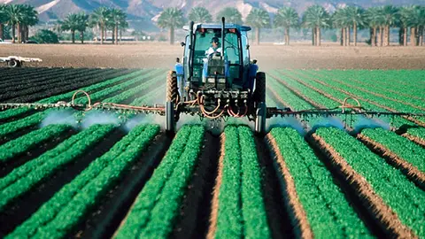 Fotograf&iacute;a de agricultura. (Archivo)