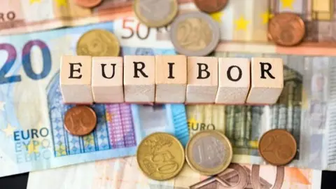 Imagen de eur&iacute;bor. (Archivo)