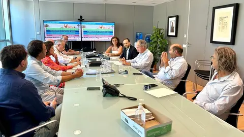 Imagen de la reuni&oacute;n.
