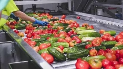 Exportaciones agroalimentarias. (Archivo)