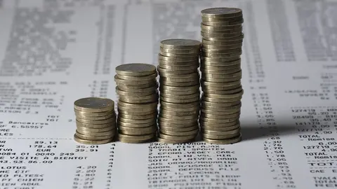  Dinero. (Imagen de Alex Barcley en Pixabay) 