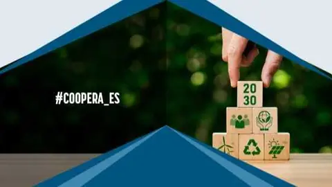  Ilustraci&oacute;n del informe. (Cepes) 