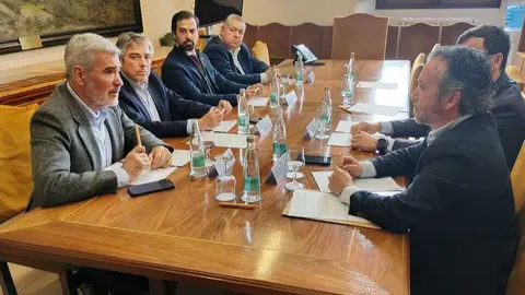 Imagen de la reuni&oacute;n. (Consell de Mallorca)