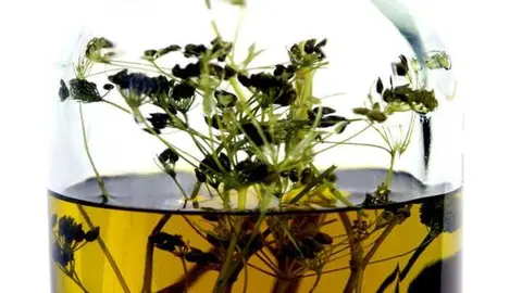 Producci&oacute;n de bebidas espirituosas con indicaci&oacute;n geogr&aacute;fica protegida