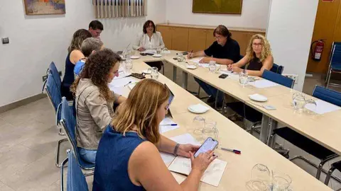El Govern ha convocado la segunda mesa contra el intrusismo.