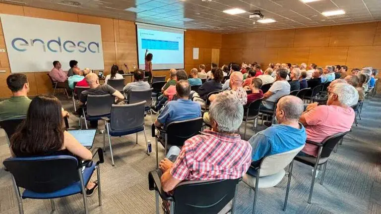 Imagen de una de las sesiones. (Endesa)