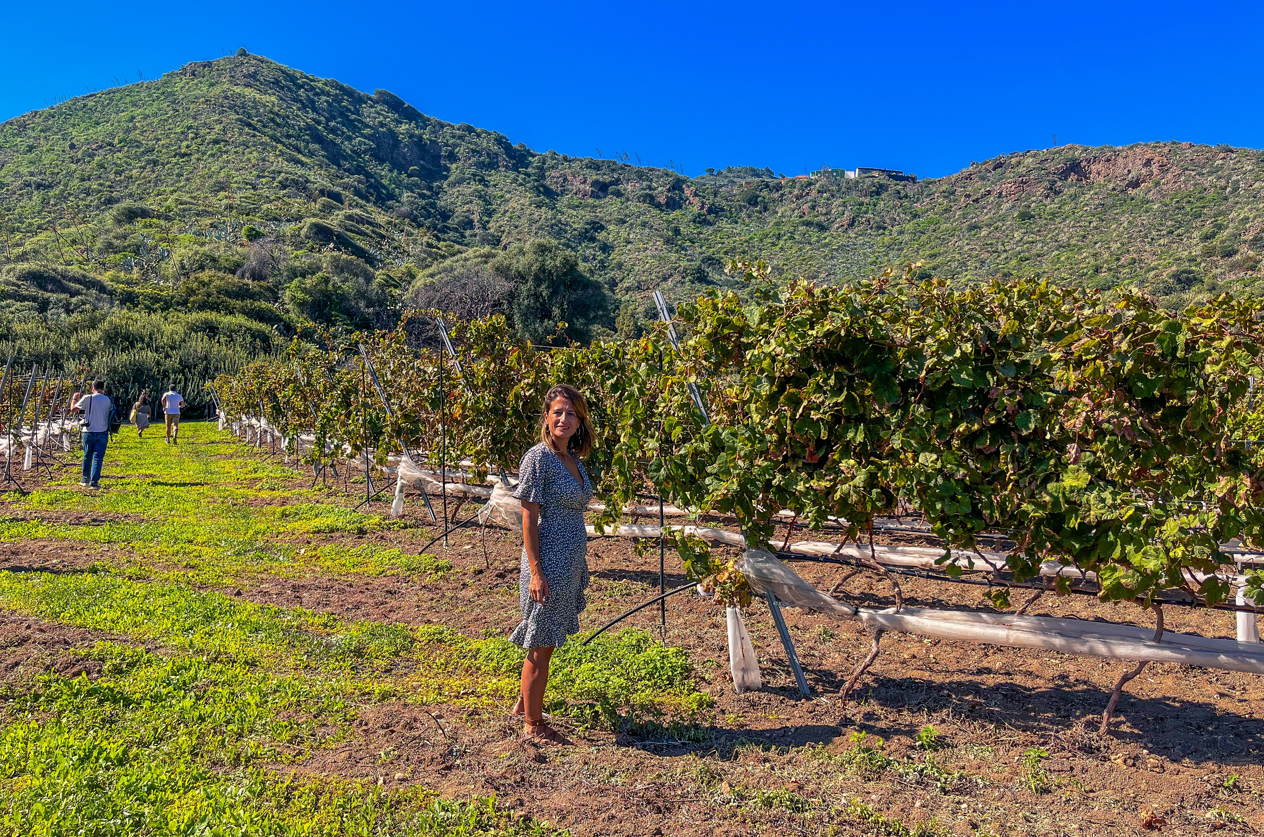 Visitando las Bodegas Mondalón
