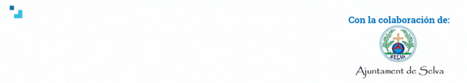 banner selva