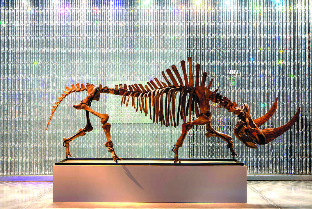 sa-bassa-blanca-museo-en-mallorca